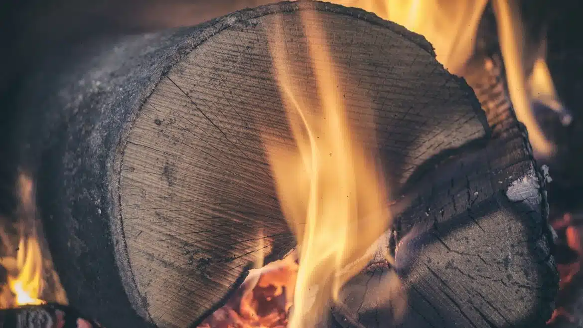 Comment choisir le bois de chauffage idéal ?