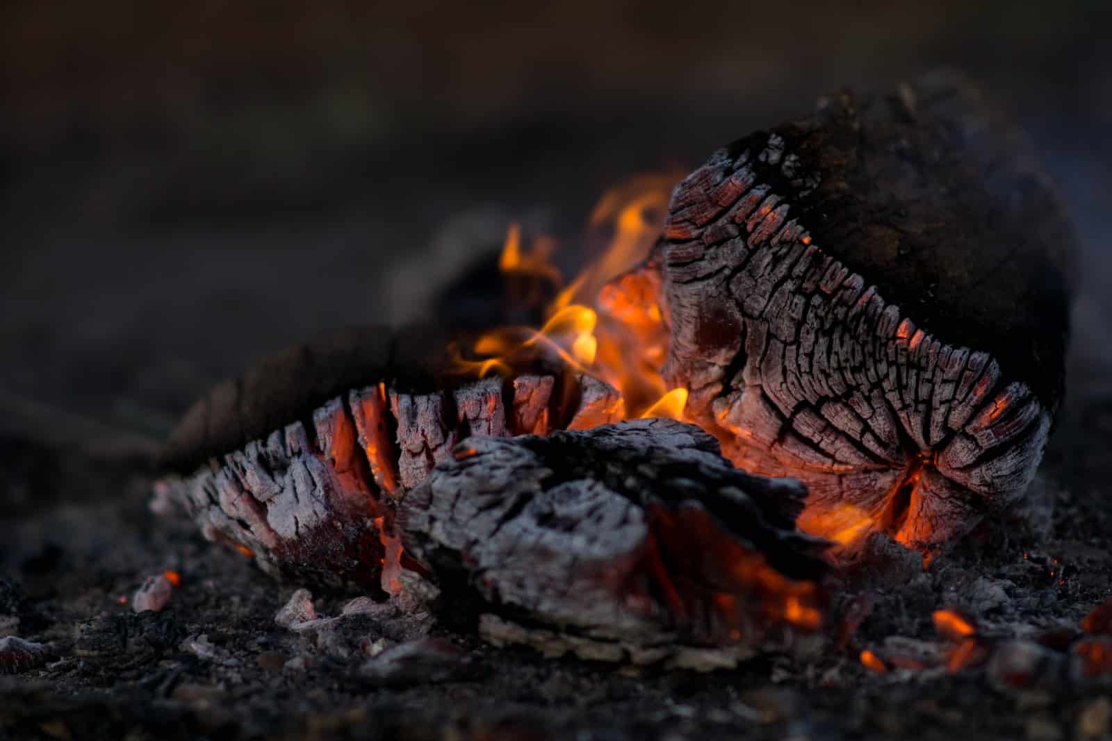 close photography of burning wood